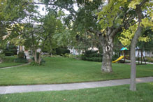 Cedarburg House Side Yard